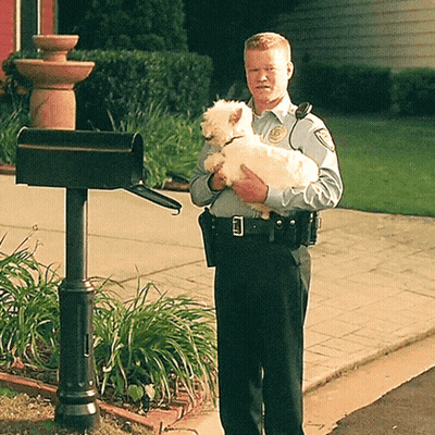 A Police Officer Holds A Small White Dog In His Arms GIF