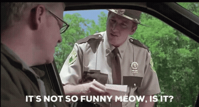 A Police Officer Is Talking To A Man In A Car And Asking If It 'S Not So Funny Meow Is It . GIF