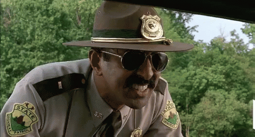 A Police Officer Wearing A Hat And Sunglasses Has A Patch On His Sleeve That Says ' New York State ' GIF