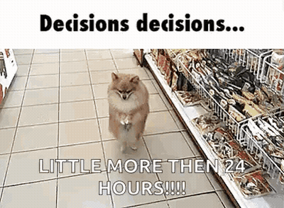 A Pomeranian Dog Is Walking Down The Floor Of A Grocery Store . GIF