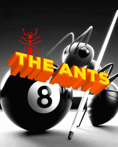A Pool Ball With The Words The Ants Written On It GIF