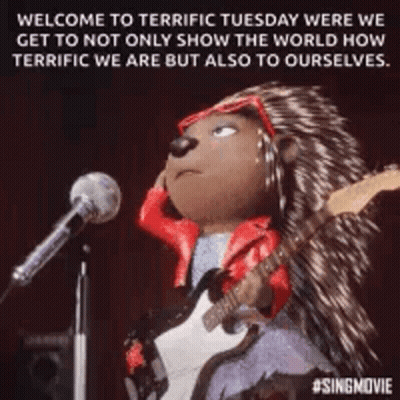 A Porcupine Is Playing A Guitar In Front Of A Microphone . GIF