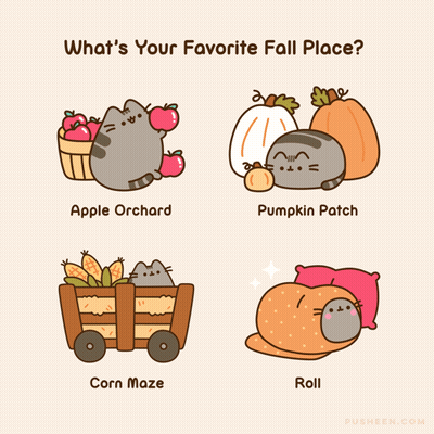 A Poster Asking What 'S Your Favorite Fall Place With A Cat In An Apple Orchard Pumpkin Patch And Corn Maze GIF