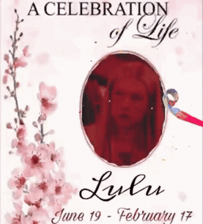 A Poster For A Celebration Of Life For Lulu On June 19 February 17 GIF