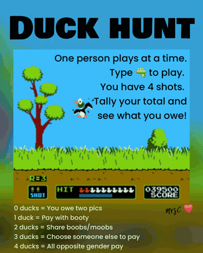 A Poster For A Video Game Called Duck Hunt With Instructions On How To Play GIF