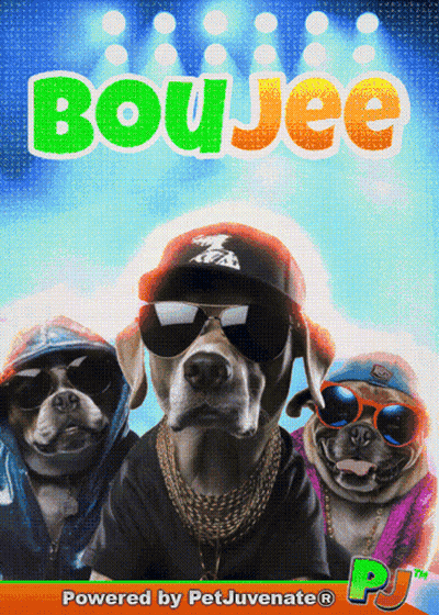 A Poster For Boujee Shows Three Dogs Wearing Hats Sunglasses And Chains GIF