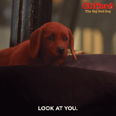 A Poster For Clifford The Big Red Dog Shows A Red Puppy GIF