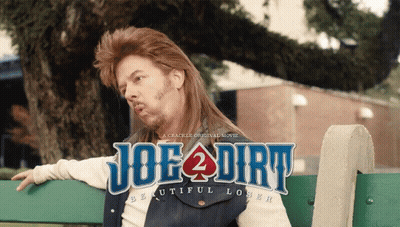 A Poster For Joe Dirt Beautiful Loser Shows A Man In A Mullet GIF