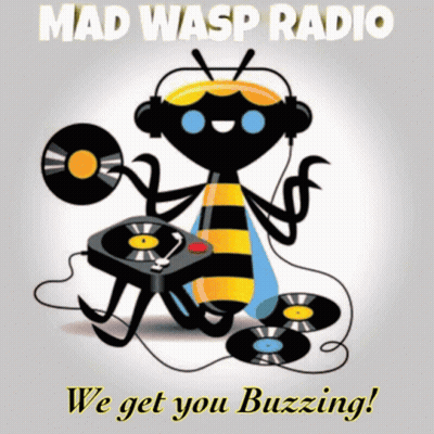 A Poster For Mad Wasp Radio Shows A Bee Playing Records GIF