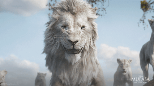 A Poster For Mufasa The Lion King GIF
