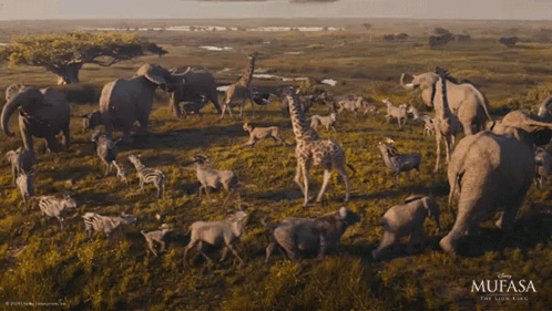 A Poster For Mufasa The Lion King Showing A Herd Of Animals GIF