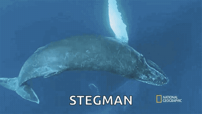 A Poster For National Geographic Shows A Whale In The Ocean GIF