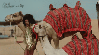 A Poster For Real Housewives Shows A Woman Leading Two Camels GIF