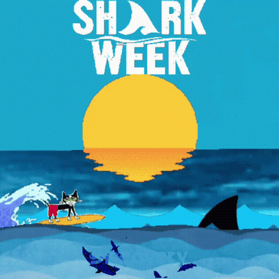 A Poster For Shark Week With A Dog On A Surfboard In The Ocean GIF