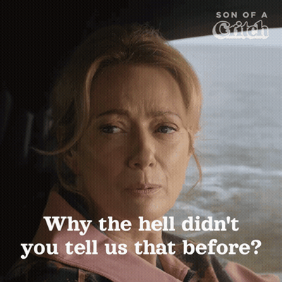 A Poster For Son Of A Catch Shows A Woman Looking Out A Window GIF