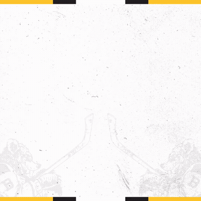 A Poster For The 2023 Boston Bruins Playoffs Presented By Rapid GIF