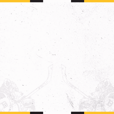 A Poster For The 2023 Boston Bruins Playoffs Presented By Rapid GIF