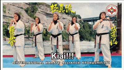 A Poster For The International Karate Alliance GIF