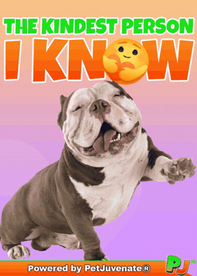 A Poster For The Kindest Person I Know Shows A Smiling Dog GIF