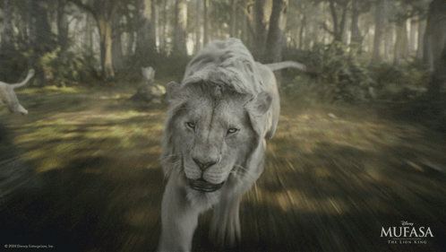 A Poster For The Movie Mufasa The Lion King Shows A Lion Running Through The Woods GIF