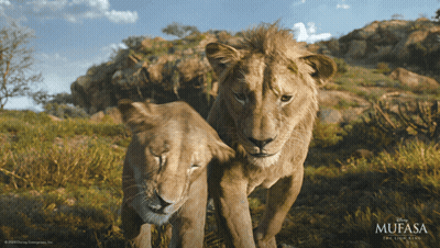 A Poster For The Movie Mufasa The Lion King With Two Lions GIF