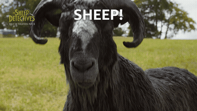 A Poster For The Movie Sheep Detectives With A Black Goat GIF