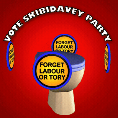A Poster For The Skibidavey Party With A Toilet GIF