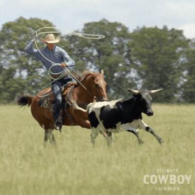 A Poster For The Ultimate Cowboy Showdown Shows A Cowboy Roping A Bull GIF