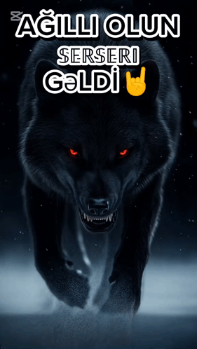 A Poster Of A Black Wolf With Red Eyes And The Words Agilli Olsun Serseri Geldi GIF