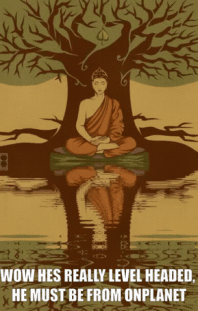 A Poster Of A Buddha Sitting Under A Tree With The Words Wow Hes Really Level Headed He Must Be From Onplanet GIF