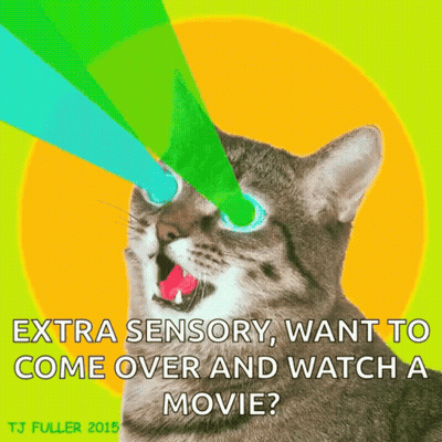 A Poster Of A Cat That Says " Extra Sensory Want To Come Over And Watch A Movie ? " GIF