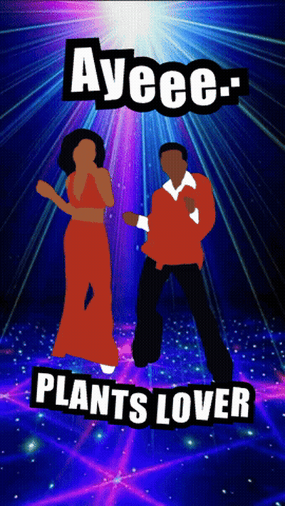 A Poster Of A Man And A Woman Dancing With Ayeee Plants Lover Written On The Bottom GIF