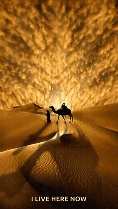 A Poster Of A Man Riding A Camel In The Desert With The Words I Live Here Now Below It GIF