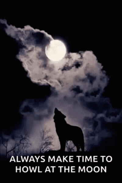 A Poster Of A Wolf Howling At A Full Moon GIF