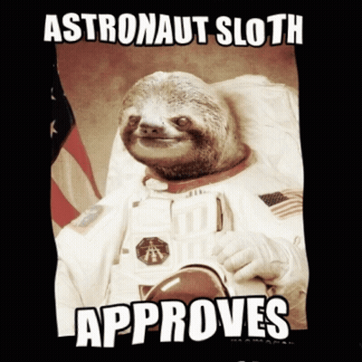 A Poster Of An Astronaut Sloth That Approves GIF