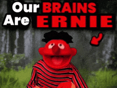 A Poster Of Ernie From Sesame Street With The Words " Our Brains Are Ernie " Above Him GIF