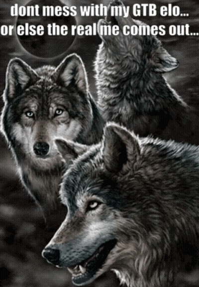 A Poster Of Three Wolves With The Caption " Dont Mess With My Gtb Elo " GIF