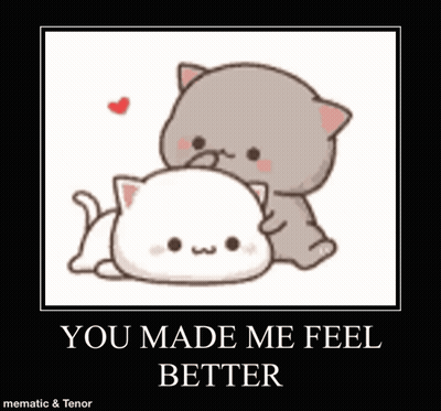 A Poster Of Two Cats Laying Next To Each Other With The Words `` You Made Me Feel Better '' . GIF