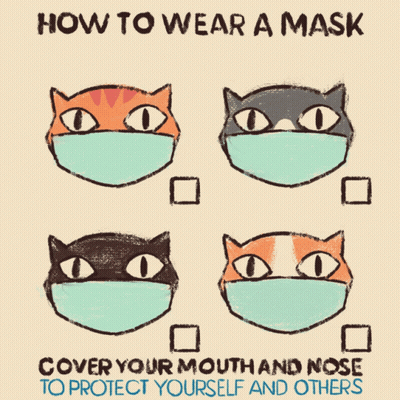 A Poster Showing How To Wear A Mask On Cats GIF