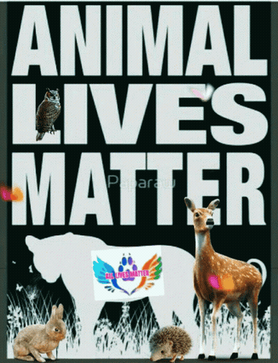 A Poster That Says Animal Lives Matter With Animals In The Background GIF