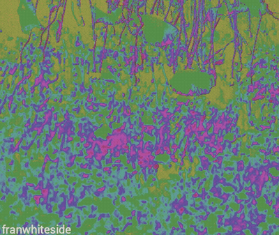 A Poster That Says Another Manic Monday On A Colorful Background GIF