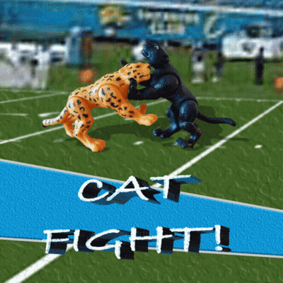 A Poster That Says Cat Fight On It With Two Cheetahs On A Football Field GIF