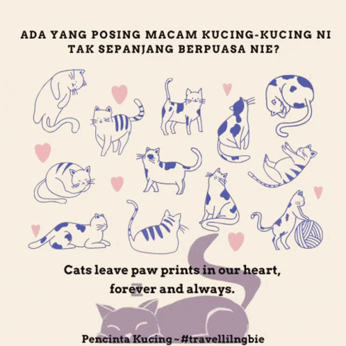 A Poster That Says " Cats Leave Paw Prints In Our Heart Forever And Always " On It GIF