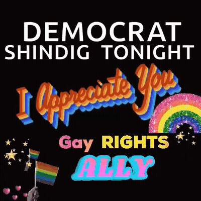 A Poster That Says " Democrat Shinig Tonight " And " I Appreciate You Gay Rights Ally " GIF