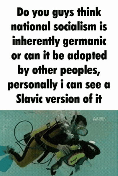 A Poster That Says Do You Guys Think National Socialism Is Inherently Germanic Or Can It Be Adopted By Other Peoples GIF