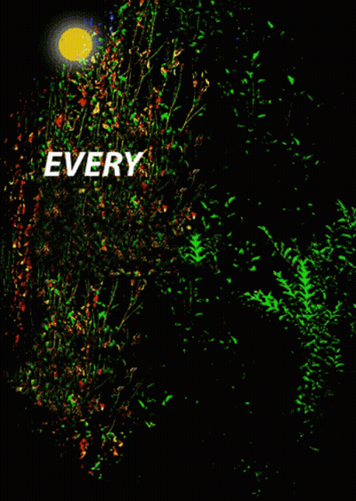 A Poster That Says Everyday Is A New Beginning Take A Deep Breath And Start Again GIF
