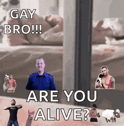 A Poster That Says Gay Bro Are You Alive On It GIF