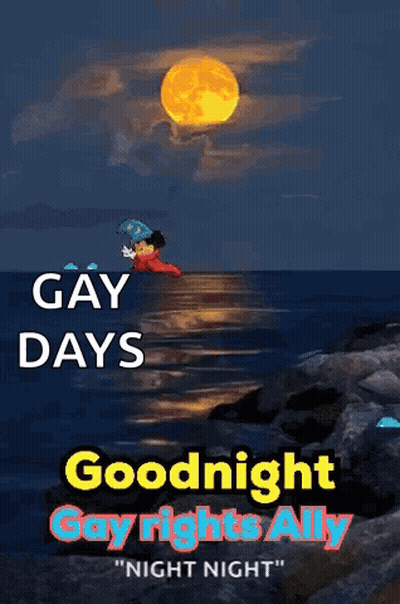 A Poster That Says " Gay Days Goodnight Gay Rights Ally Night Night " GIF