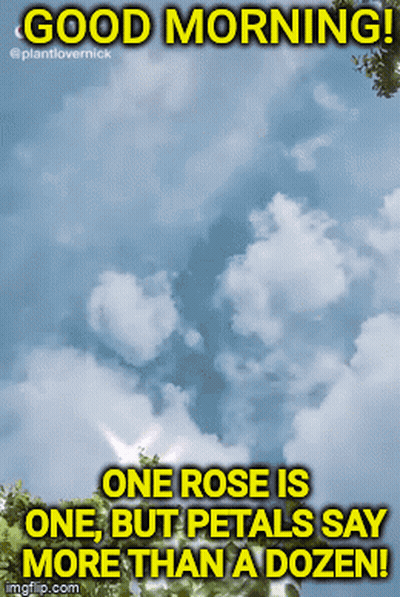 A Poster That Says Good Morning One Rose Is One But Petals Say More Than A Dozen .. GIF
