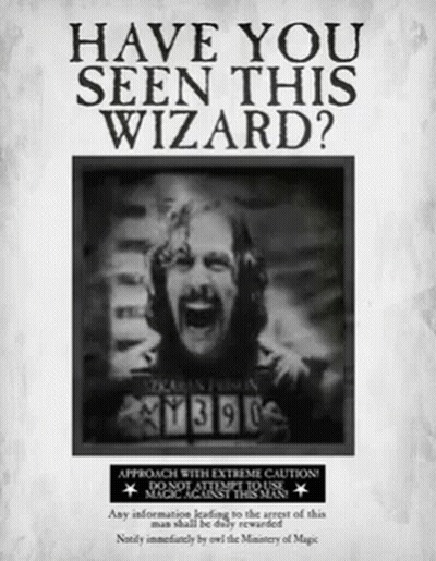 A Poster That Says " Have You Seen This Wizard " GIF